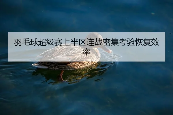羽毛球超级赛上半区连战密集考验恢复效率